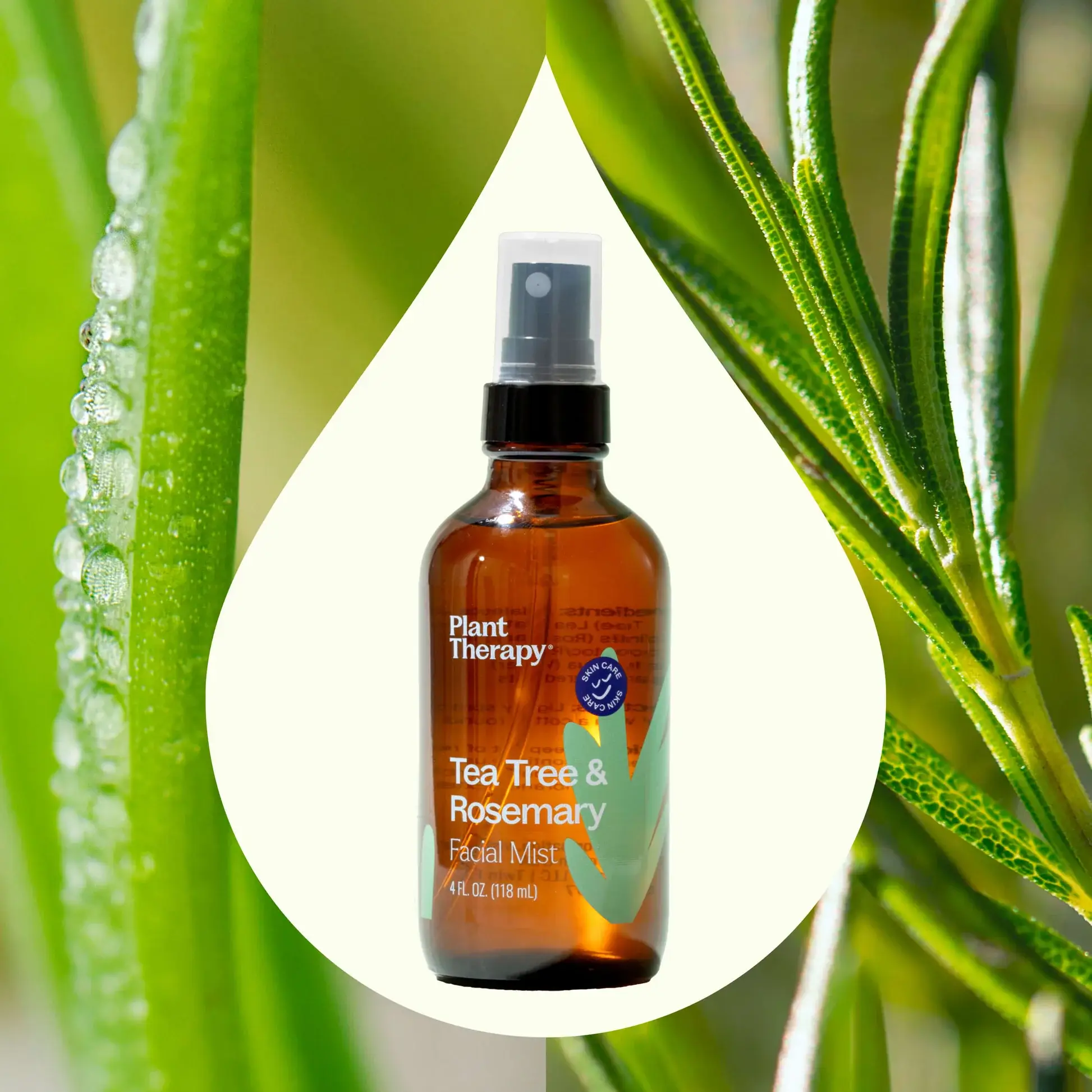 Plant Therapy - Wholesale Face & Body Mist/Water - Tea Tree & Rosemary Facial Mist 4 oz1