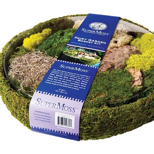 Fairy Garden Korb-Set, frisches Grün, 38 cm für den Großhandel von SuperMoss