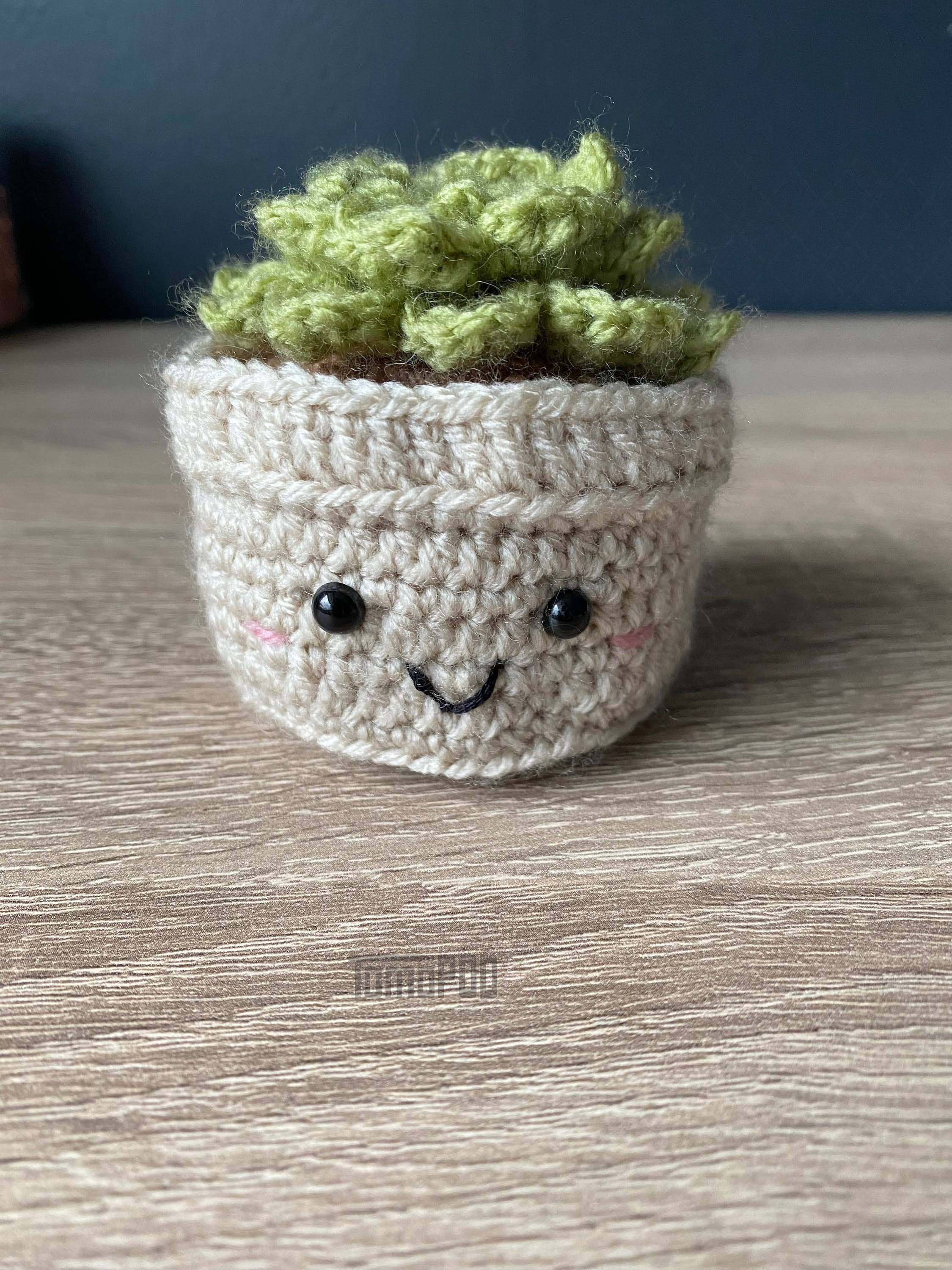 TOMOPOD LLC – wholesale Decorative tabletop object – Crochet Succulent Plant, Amigurumi Plant, Office Desk Decor7