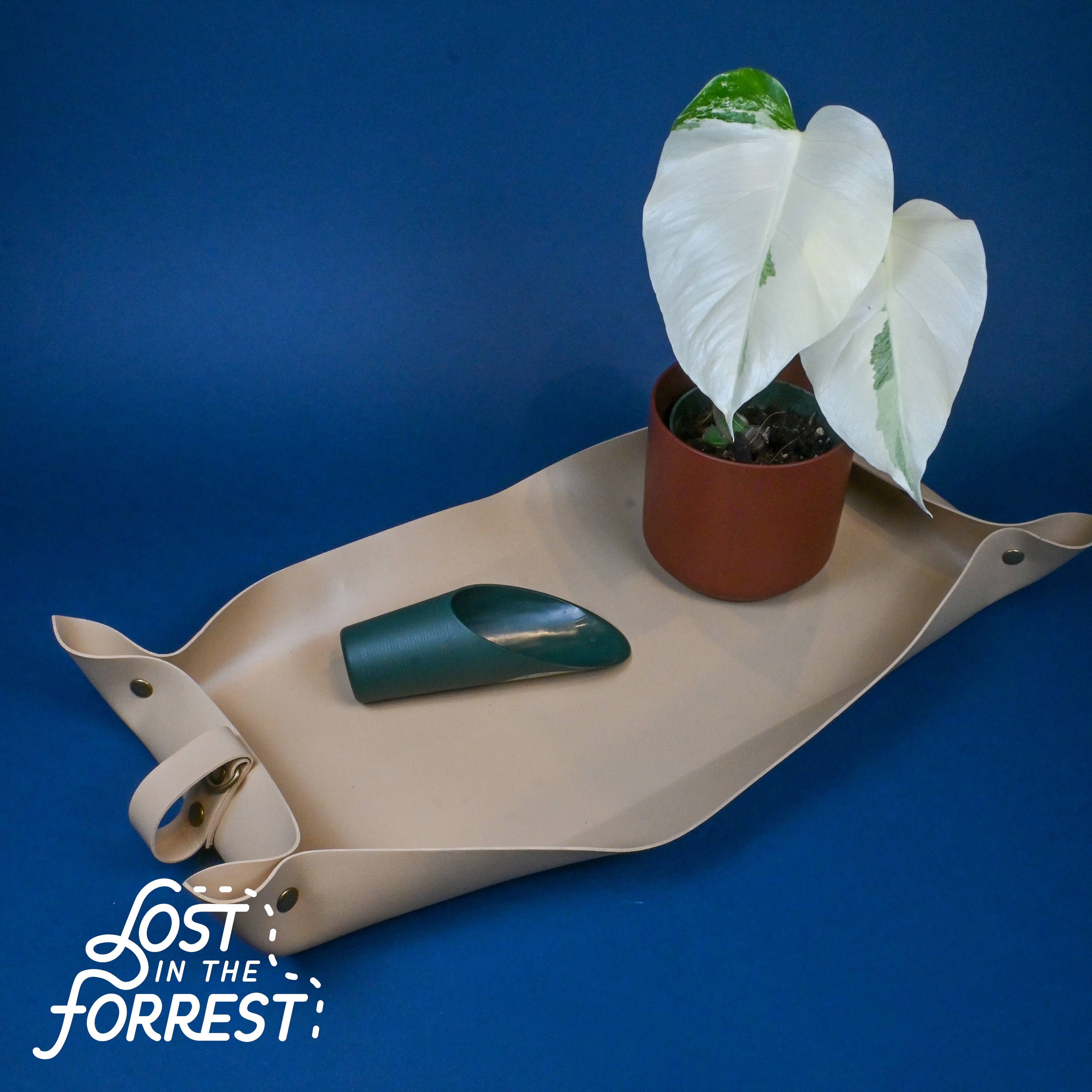 Lost in the Forrest – Engroshandel Haveværktøj – Jordskeer2