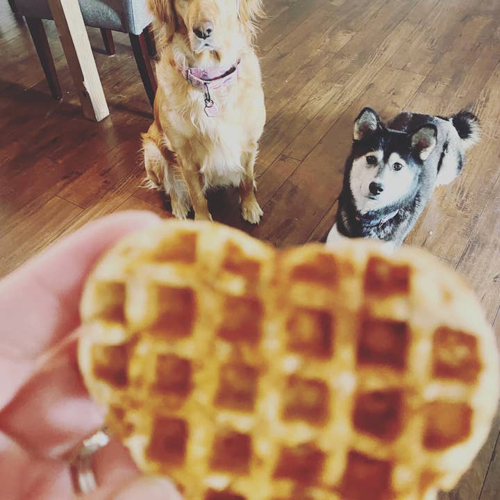 RUFFS AND BONES - Wholesale Pet Treats - Dog - Peanut Butter and Jelly Dog Waffle