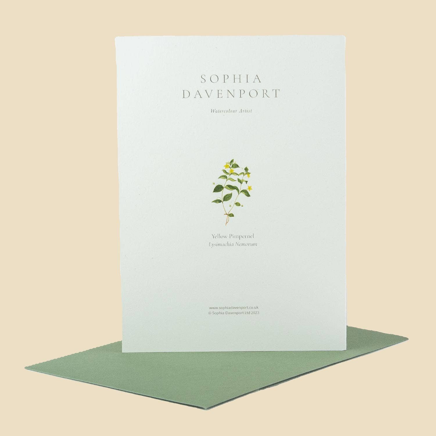 Sophia Davenport - Wholesale Everyday Greeting Card - Wildflower Greeting Cards and Notelets59
