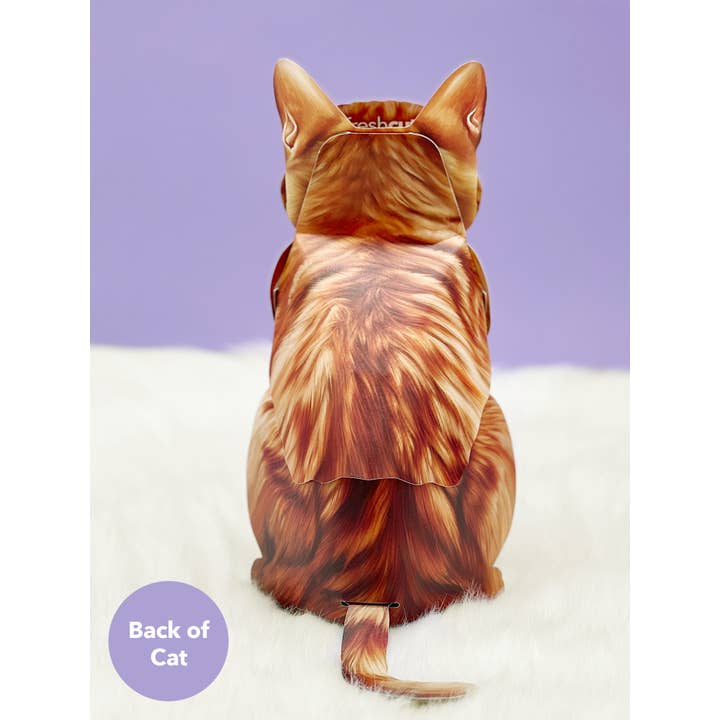 FreshCut Paper LLC - Wholesale Gewone wenskaart - Oranje Cyper (6 Pop-up Wenskaarten)1