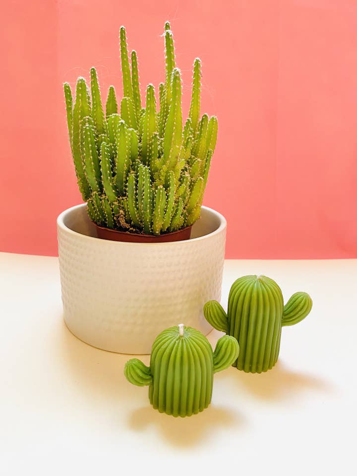 Cactus Lot de 2 bougies en cire d'abeille pour la vente par Maple + Love