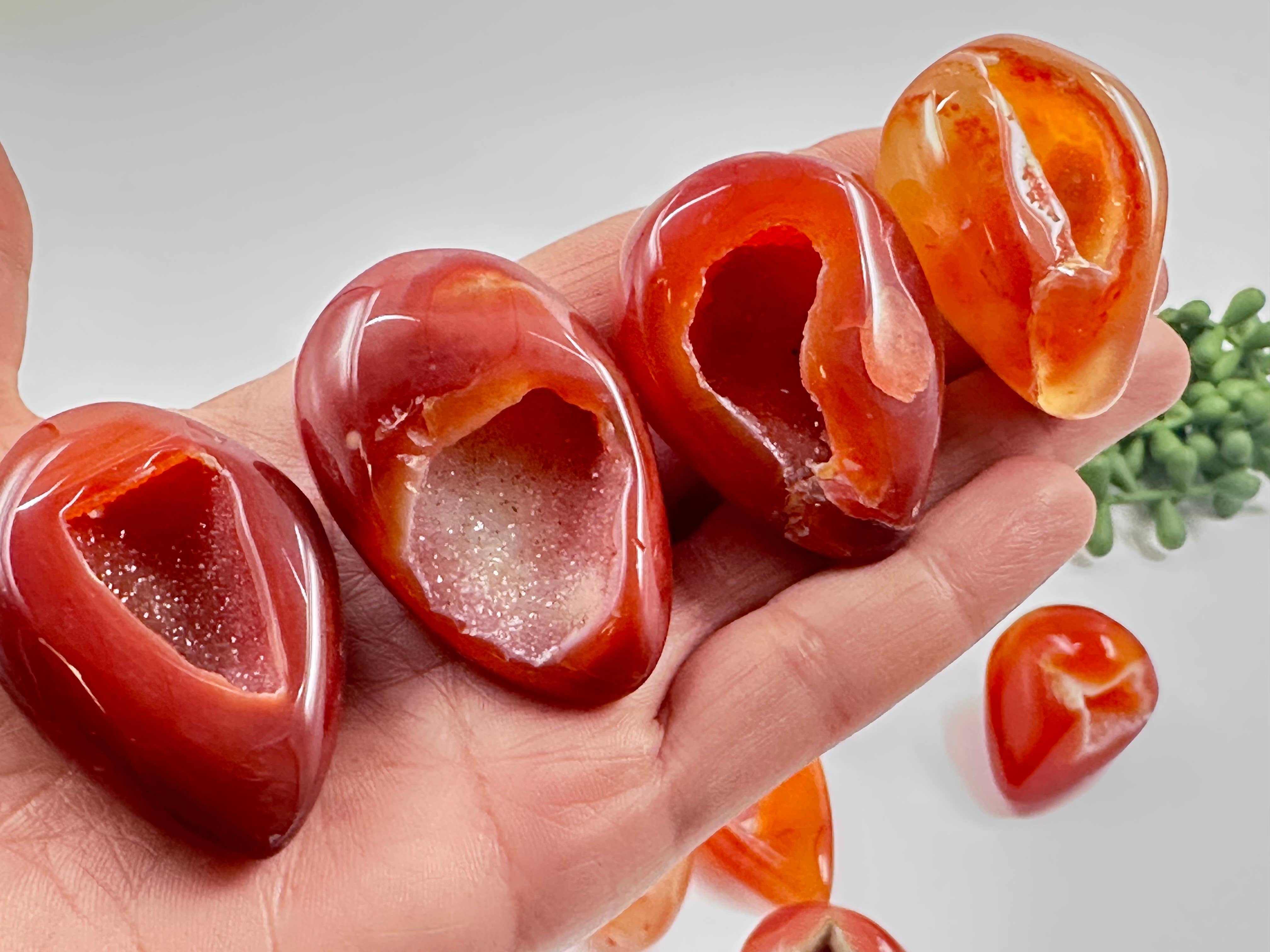 Meraki Gemstones - Wholesale Spiritual stone/crystal - Carnelian Druzy Eggs - AAA Quality1