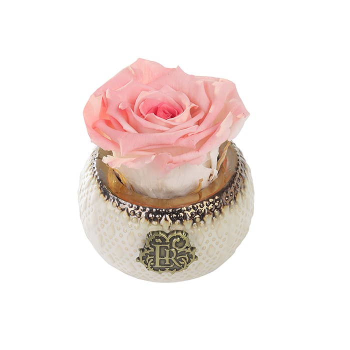 Eternal Roses® - Wholesale Artificial Flowers - Mini Soho Classic Eternal Luxury Rose26