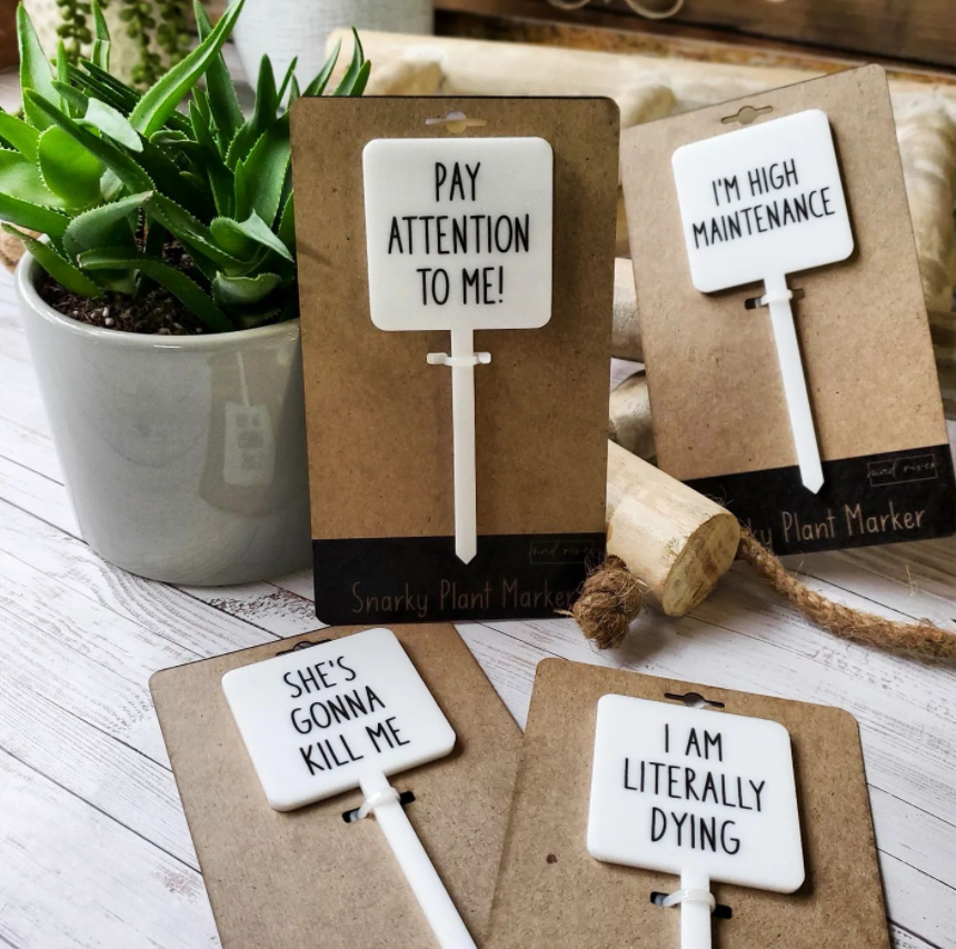 Mad River - Wholesale Garden/Lawn Stake - Snarky Plant Marker Stake - I'm No Cactus3