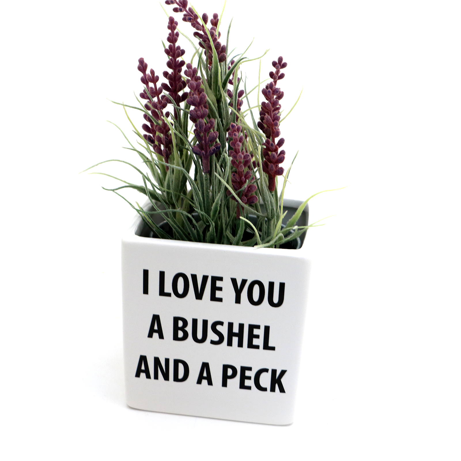 Lenny Mud – Engroshandel Plantekrukke – Skæppe og en Peck Planter, indendørs plantageejer, container2