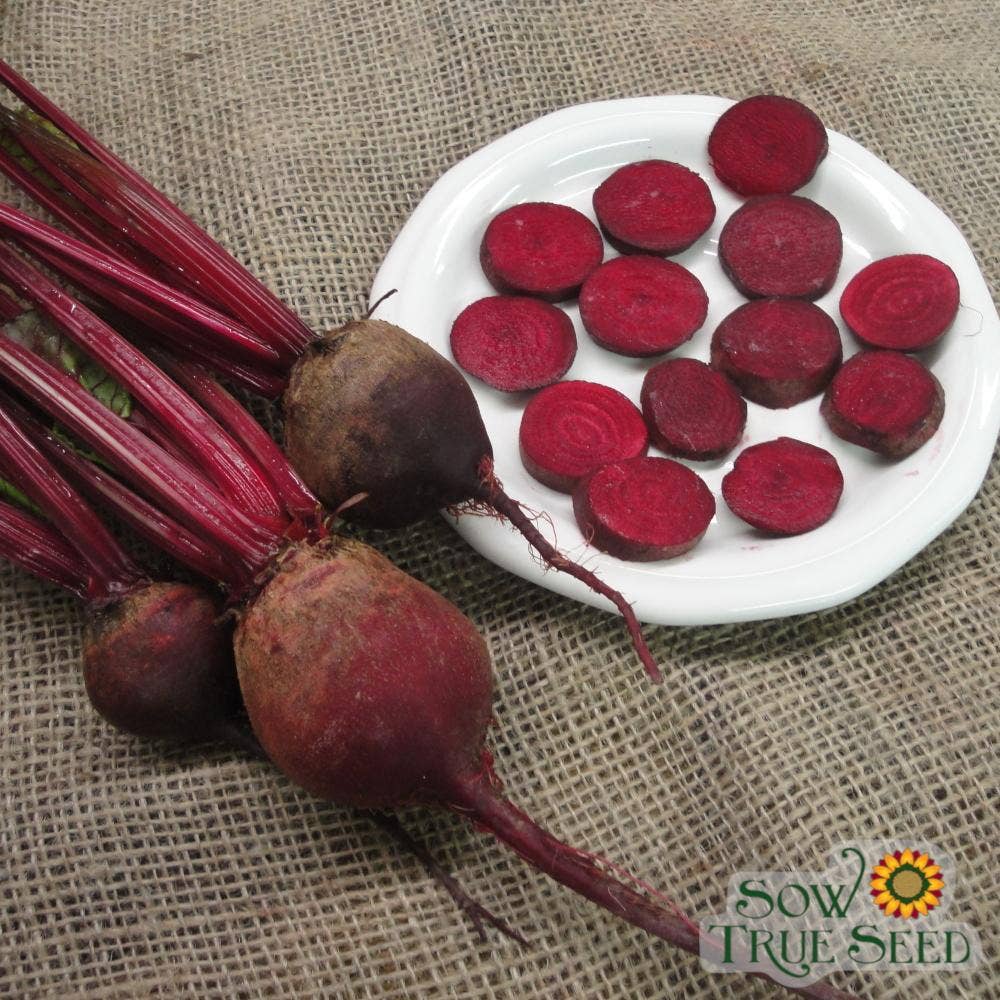 Sow True Seed - Wholesale Plant Seeds - Beet Seeds - Detroit Dark Red, ORGANIC0