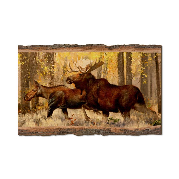 La parade nuptiale - Aimants en bois et cartes postales pour la vente par DaydreamHQ