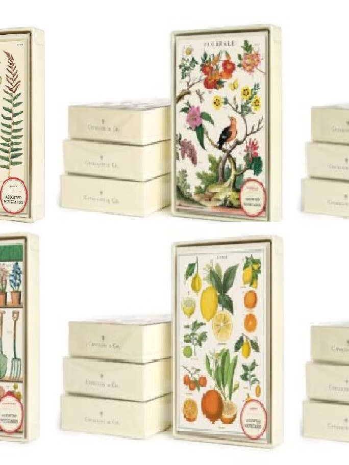 Cavallini Boxed Notecards Pack - 12 Assorted for wholesale by Cavallini & Co
