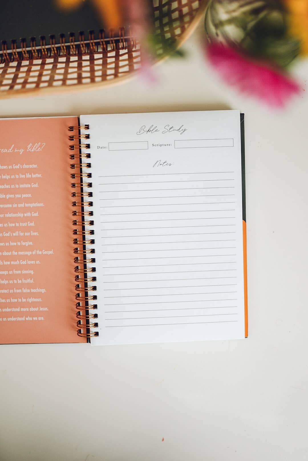 Isabela Schielke Studio - Wholesale Journal/Diary - Prayer And Bible Study Journal9