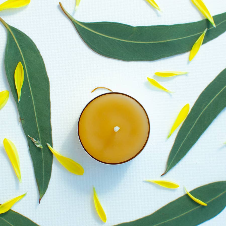 Sunbeam Candles, Inc - Wholesale Tea light candles - Beeswax Tealights (60 count bulk display)2