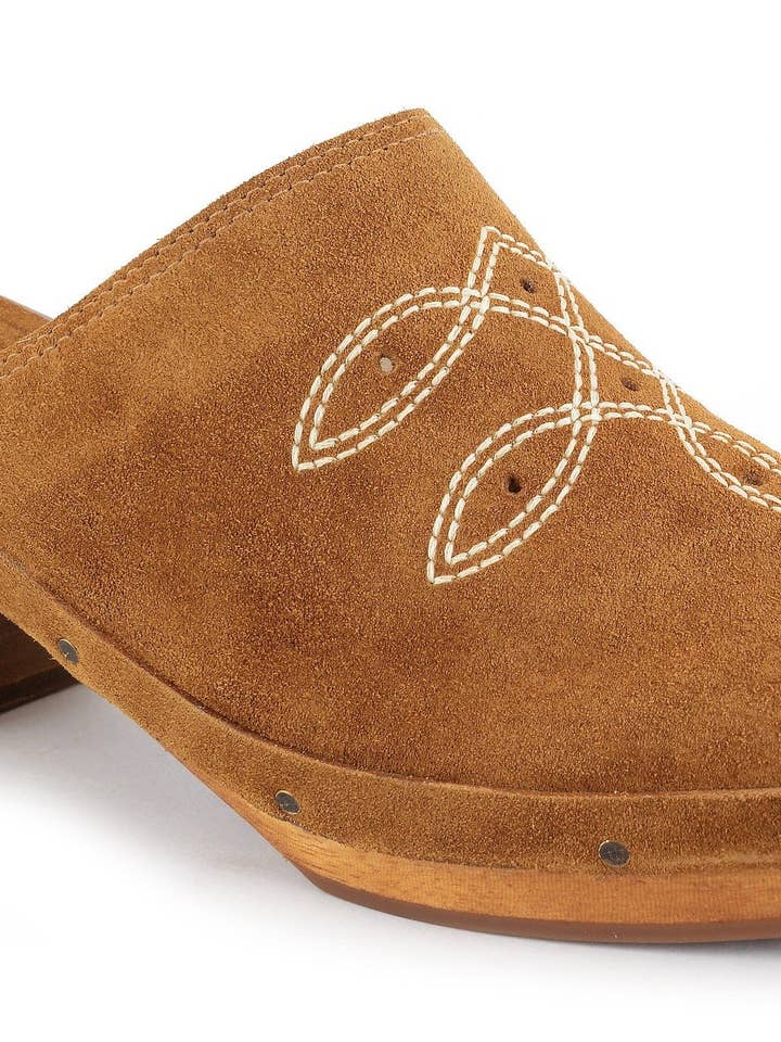 Tímido - Tierra para venta al por mayor de Bird of Flight