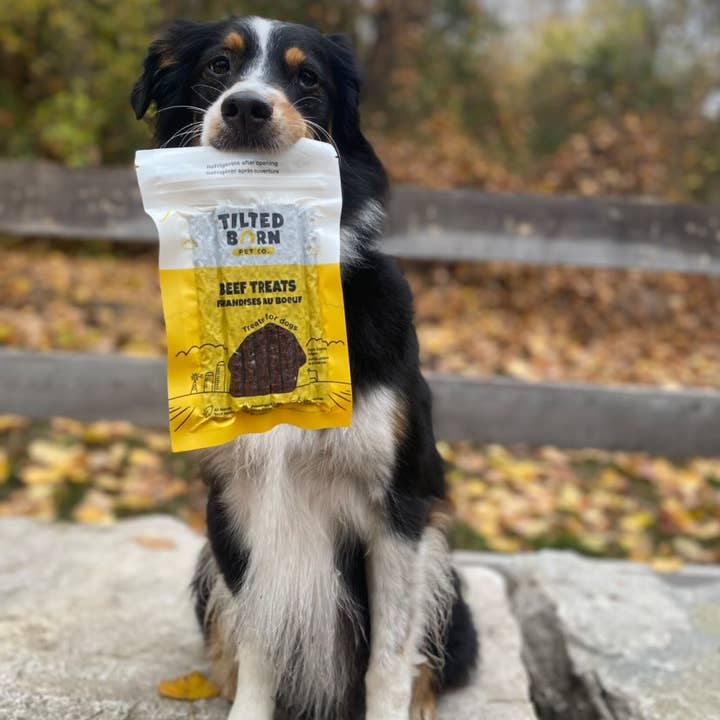 Tilted Barn Pet Co. - Wholesale Pet Treats - Dog - Beef Treats For Dogs 100g/3.53oz5