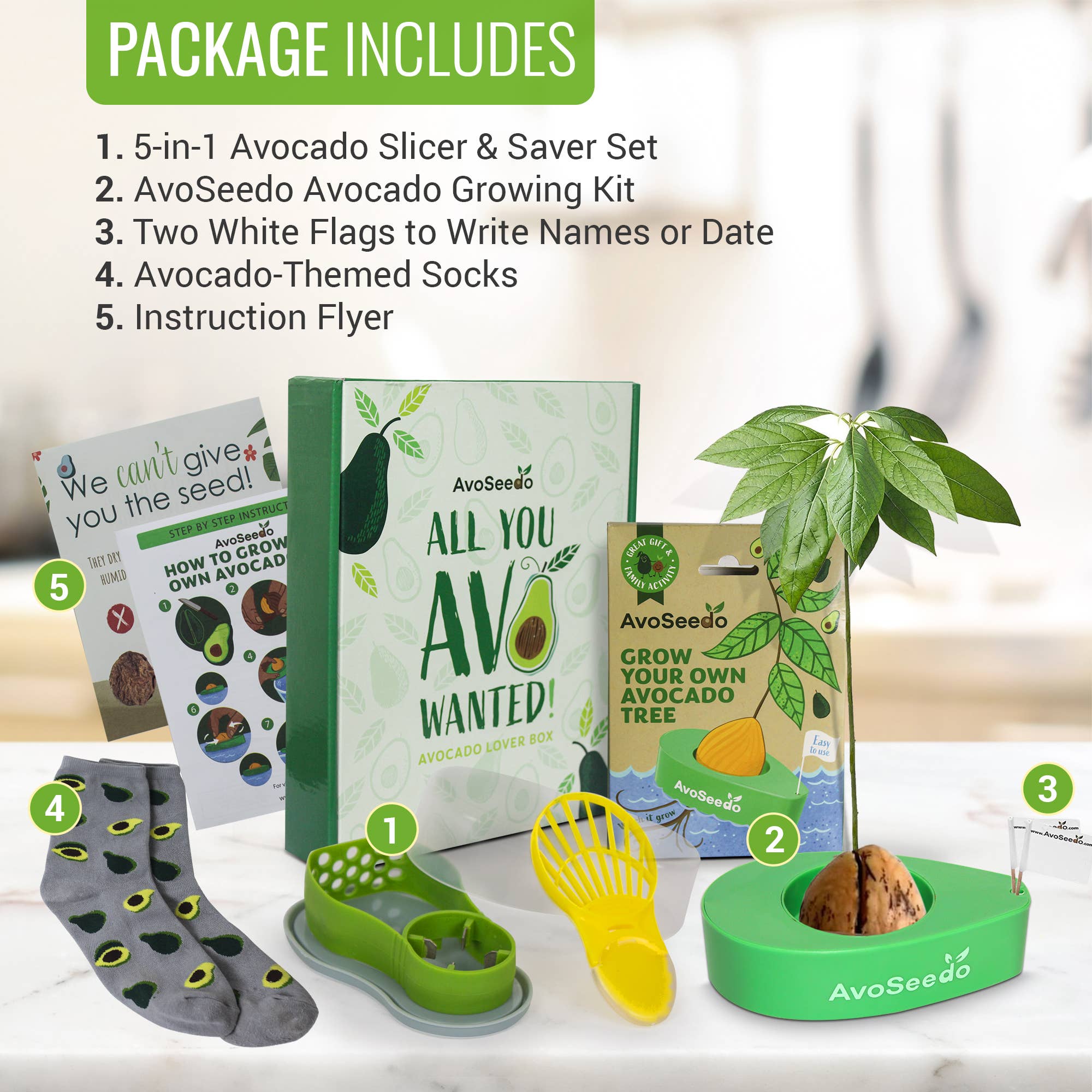 AvoSeedo - Wholesale Plant Seeds - Avocado Lover Box "All you Avo wanted"1