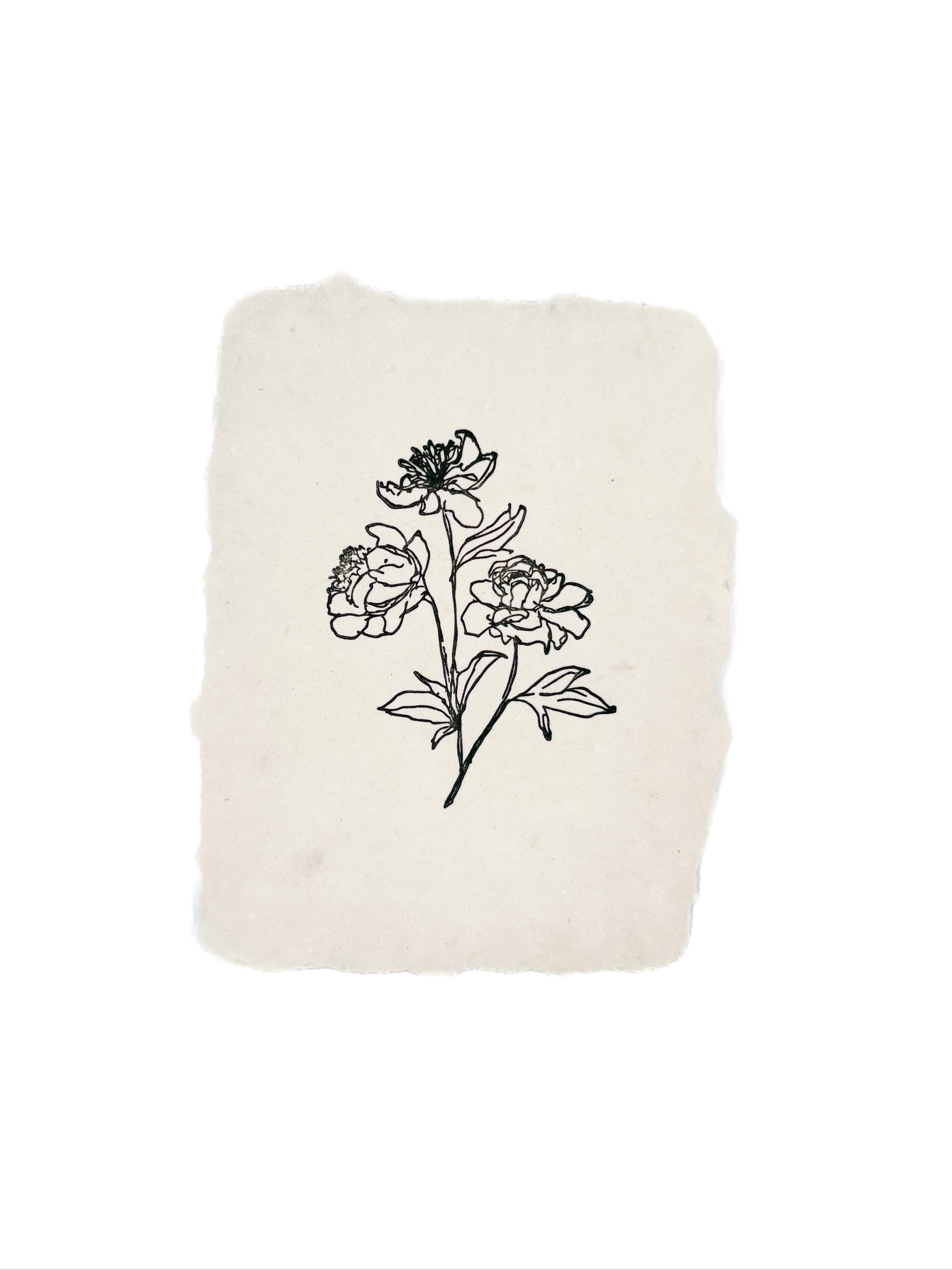 farmette - Wholesale Stationery/Notecard Set - peony stems1