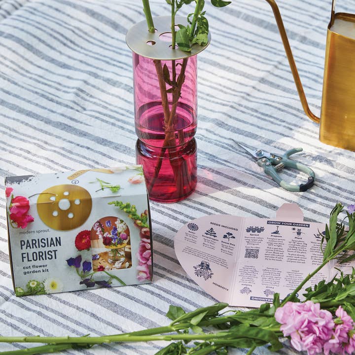 Modern Sprout - Wholesale Plant Seeds - Travel Trio - Parisian Flower Shop4