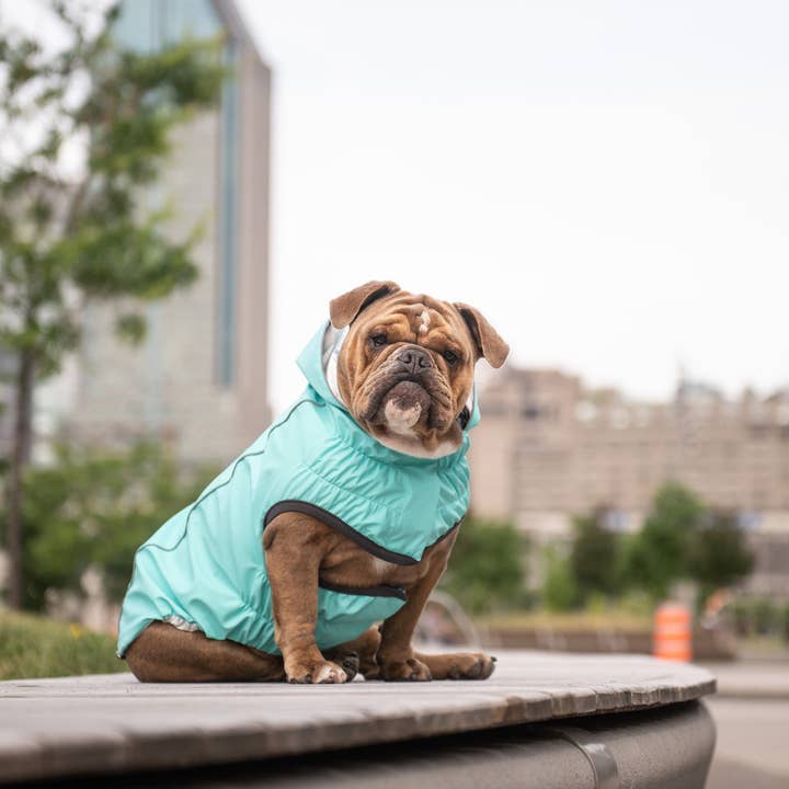 GF Pet - Wholesale Pet Raincoat - Dog - GF Pet Reversible Raincoat - Neon Aqua with Iridescent7