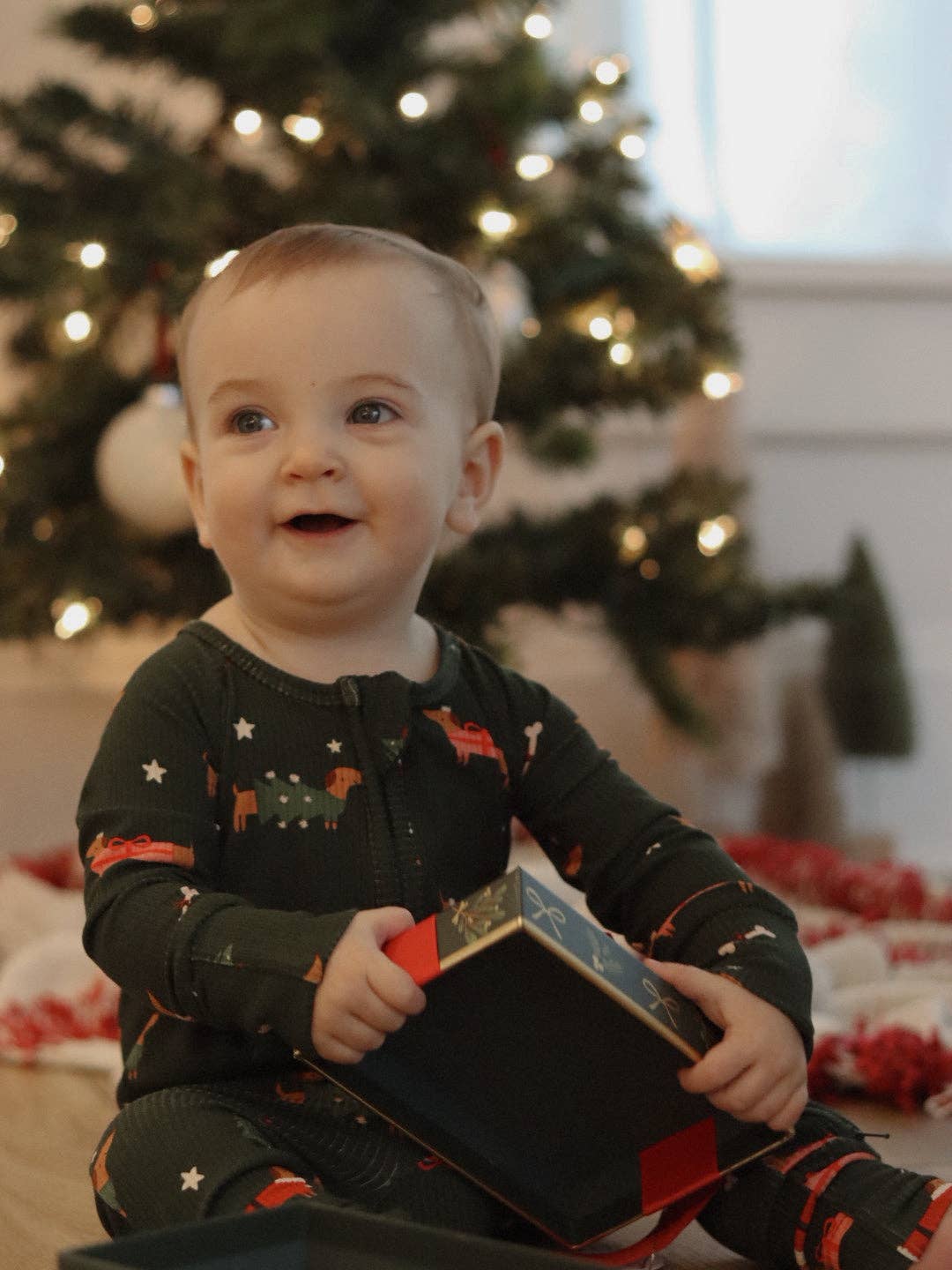 Sunday Littles – wholesale Sleepsuit – Baby – Little Zippers in Jingle Pups8