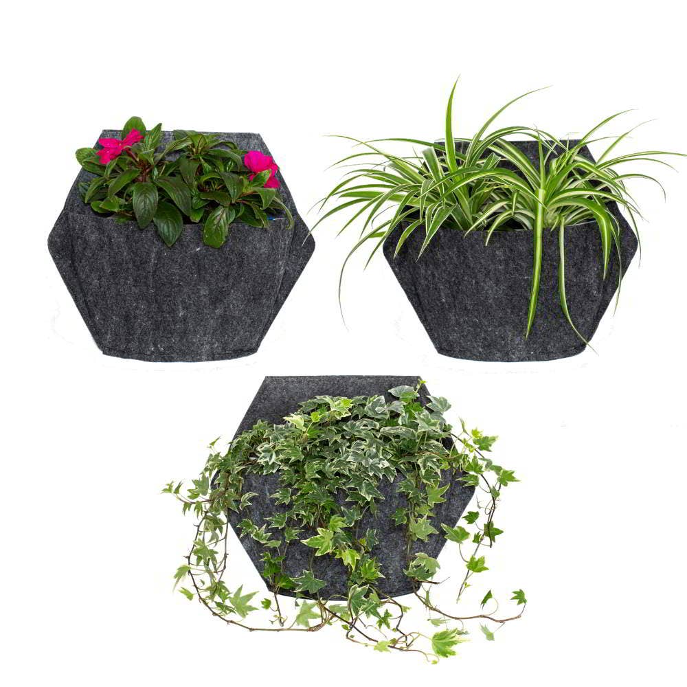 CitySens - Wholesale Wall Planter - CitySens Vertical Garden: Pack of 3 Wall Pots5