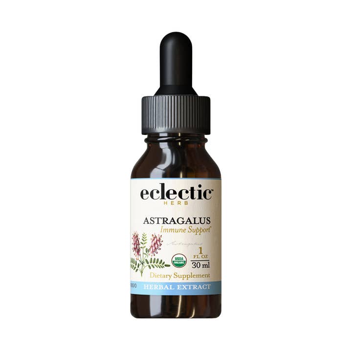 Astragalus Extract for wholesale by Eclectic Herb