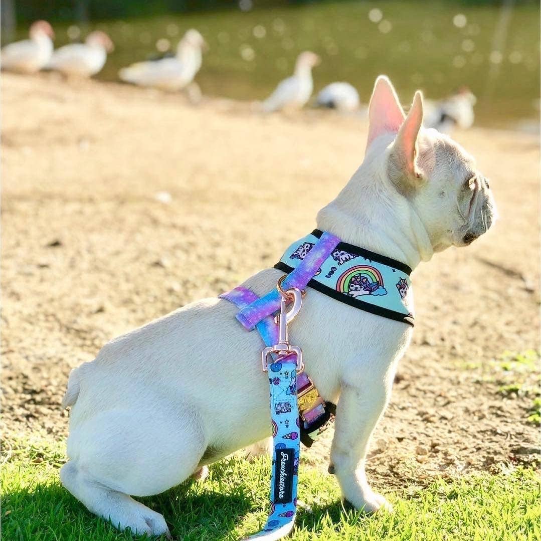 Frenchiestore - Vente Laisse – chien - Laisse de luxe pour chien | UniPup1