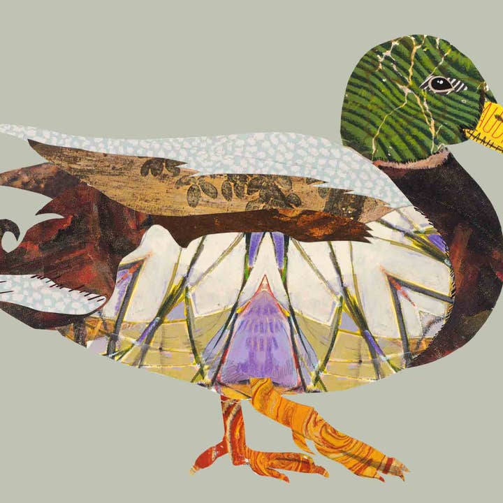 Brenda Bogart - Wholesale Art Print - Acrylic Framed Mallard Duck Print