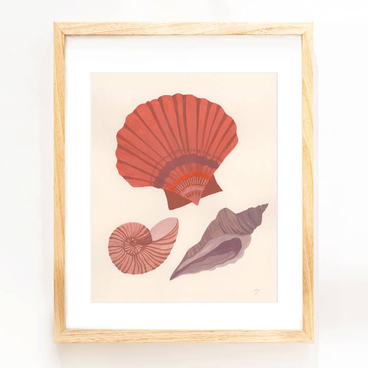 Seashell Study Print - 8x10 for wholesale by Elana Gabrielle