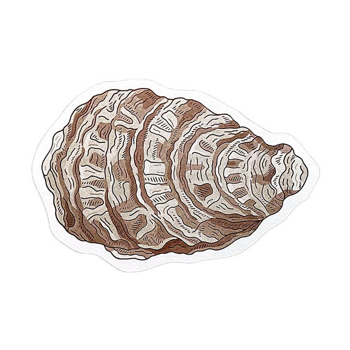 Cartolina Oyster per la vendita all'ingrosso da parte di Noteworthy Paper & Press