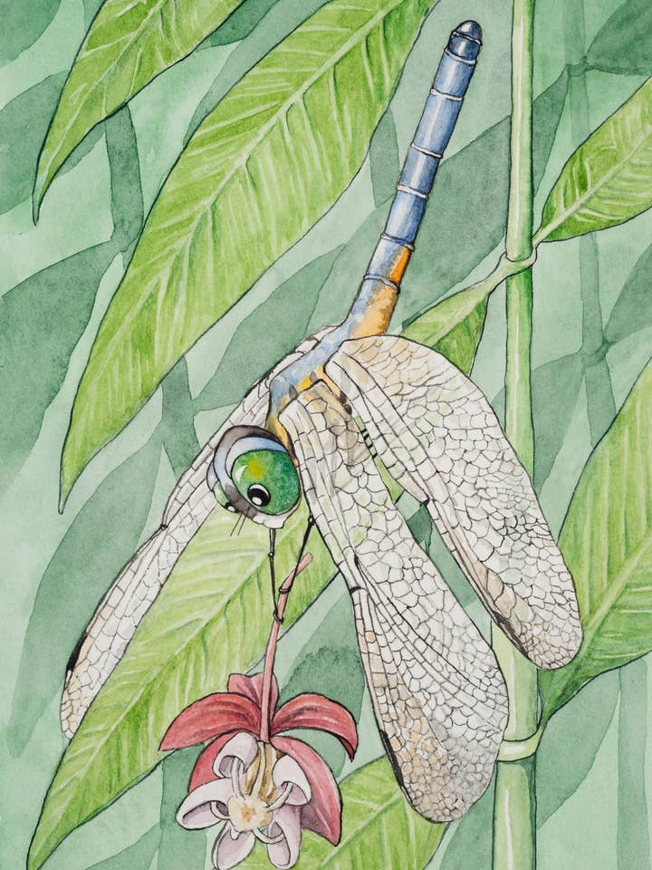 Cartão de Nota Libélula Azul Dasher 5"x7" por atacado de Katie Crawford Art