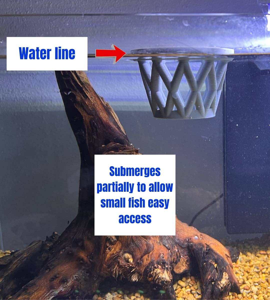 Chatelet - Wholesale Pet Bowl - Cat/Dog - Chatelet Aquarium Fish Feeding Cage | Small Fish Feed Cage | Floats at Surface & Keeps Larger Fish Out | Made in USA8