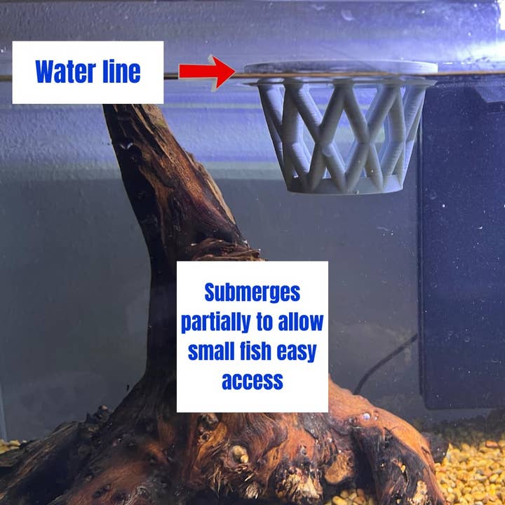 Chatelet - Wholesale Pet Bowl - Cat/Dog - Chatelet Aquarium Fish Feeding Cage | Small Fish Feed Cage | Floats at Surface & Keeps Larger Fish Out | Made in USA8