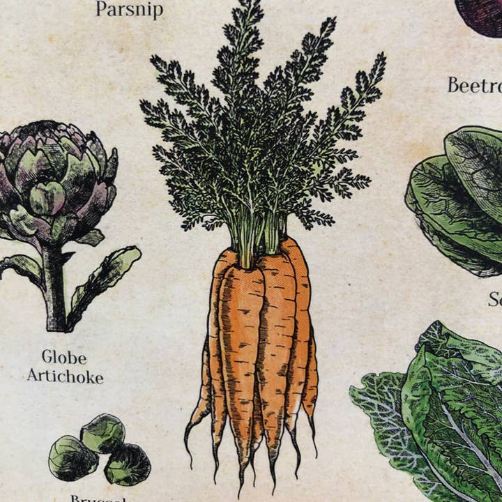 Hannah Turpin Designs - Vendita all'ingrosso Calendario - Calendario stagionale, calendario mensile da tavolo per frutta e verdura (UK F5