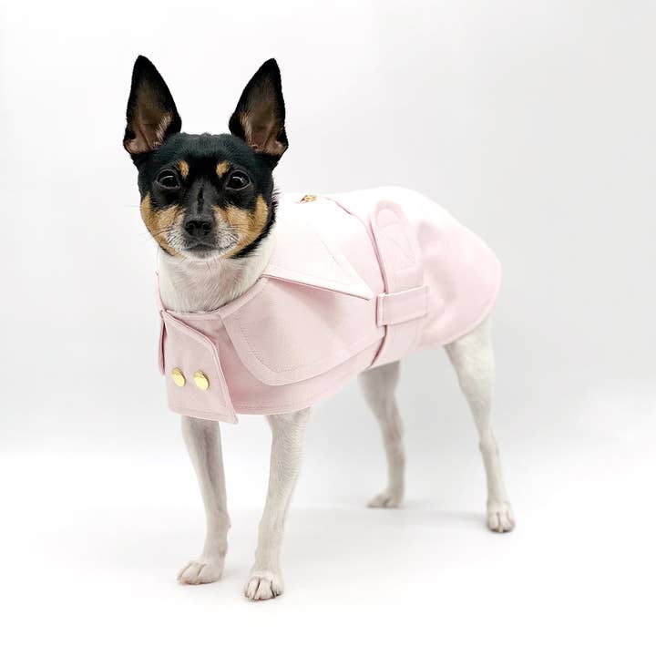 DoggieCoutureNY – Großhandel Haustiermantel – Hund – DCNY Trenchcoat mit Gürtel - Blush Pink