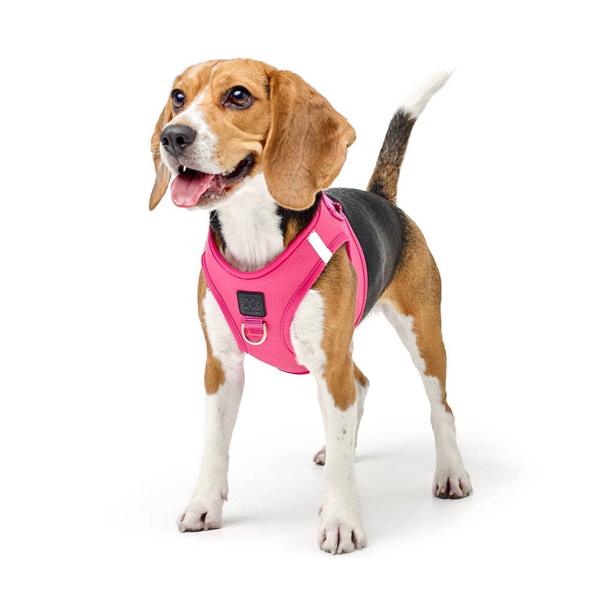 Dogistry™ - Wholesale Pet Harness - Dog - SoHo Dog Harness - Park Ave Pink1
