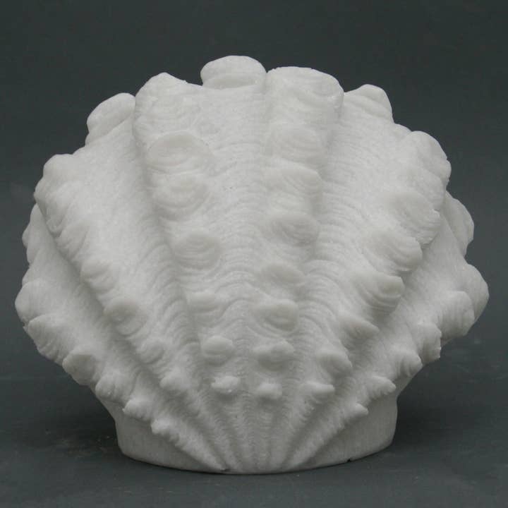 Modern Coastal by Contrast Inc. - Wholesale Accent/Desk Lamp - Sandstone Conch Shell Light Box1