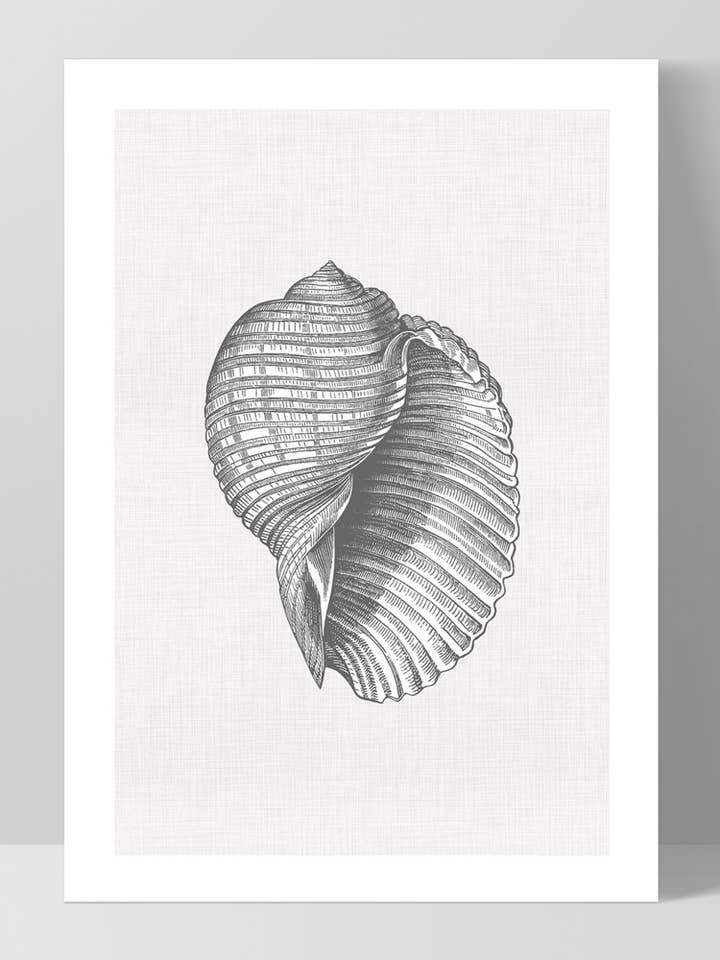 Poster Costeiro Sea Shell. Touca escocesa Hamptons Shell Cinza por atacado de PRINT AND PROPER