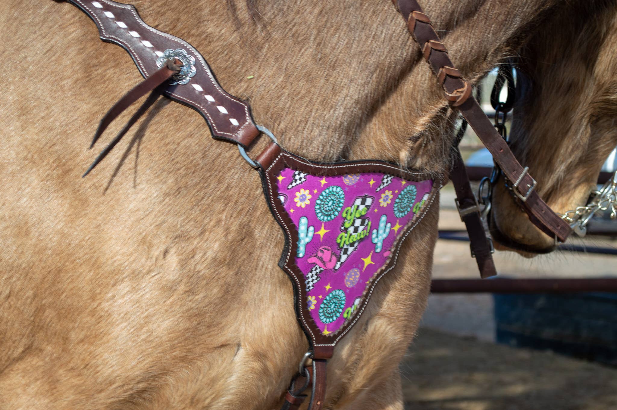 Schulz Equine - Wholesale Horseback Riding Gear - Neon Yeehaw Headstall and Breast Collar Set1