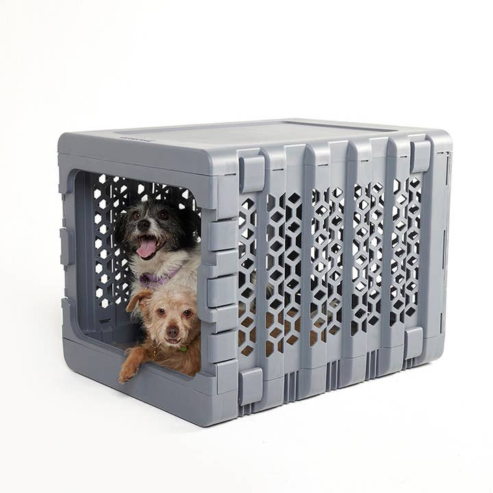 KindTail - Wholesale Pet Carrier - Dog - Medium Pawd® | Modern Collapsible Plastic Dog & Pet Crate
