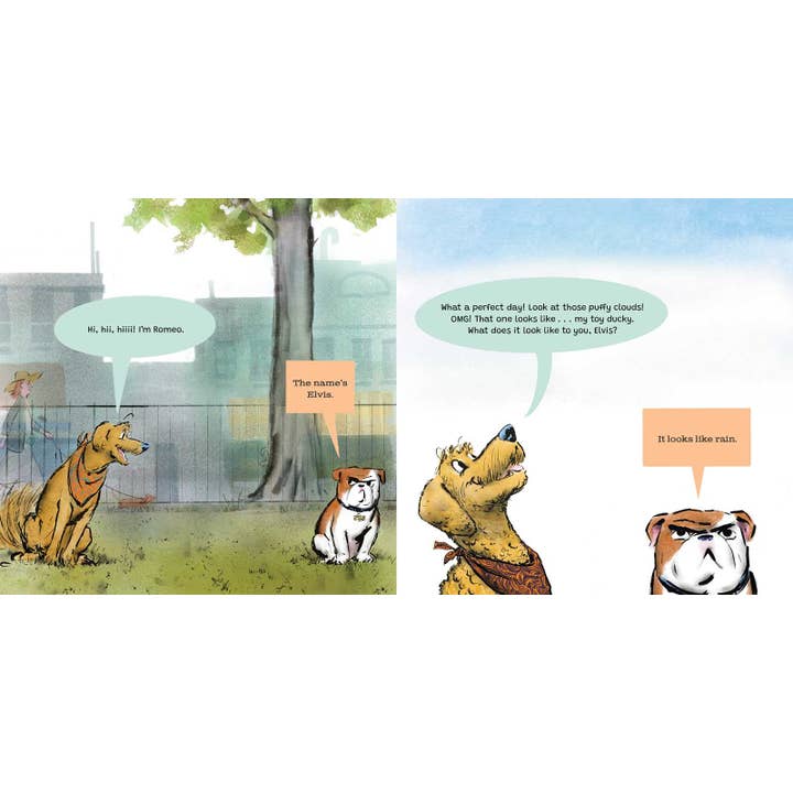 Simon & Schuster - Wholesale Book - Kids - Elvis & Romeo by David Soman