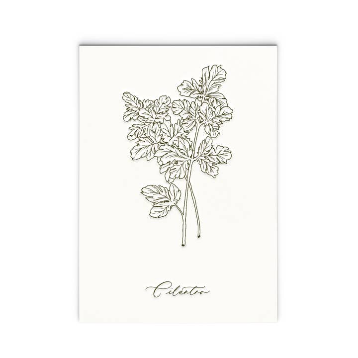 Cilantro | Letterpress Herb Series Art Print for wholesale by Ciarra Claire