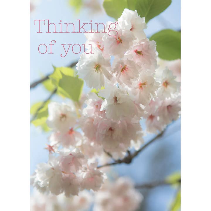 Thinking of You Card - Blossom/Blue Sky for wholesale by Leonard Smith