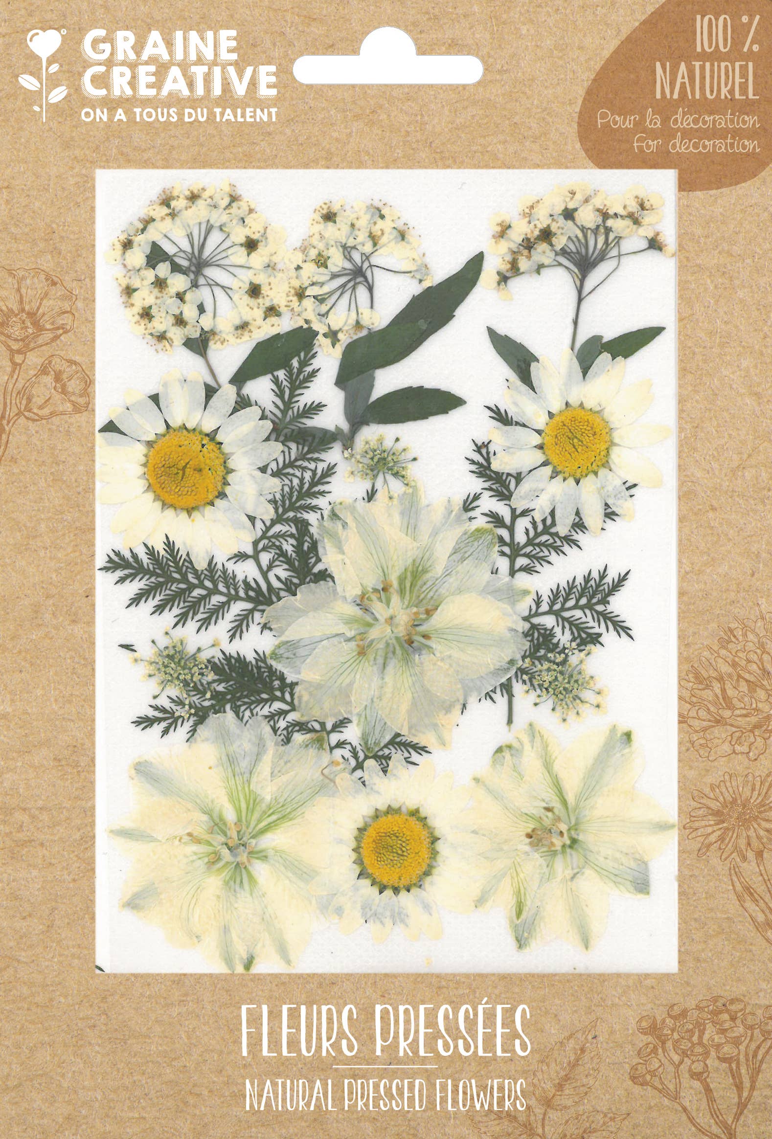 Graine Créative - Wholesale Artificial Flowers - PRESSED FLOWERS MEADOW WHITE - 15 PCS1