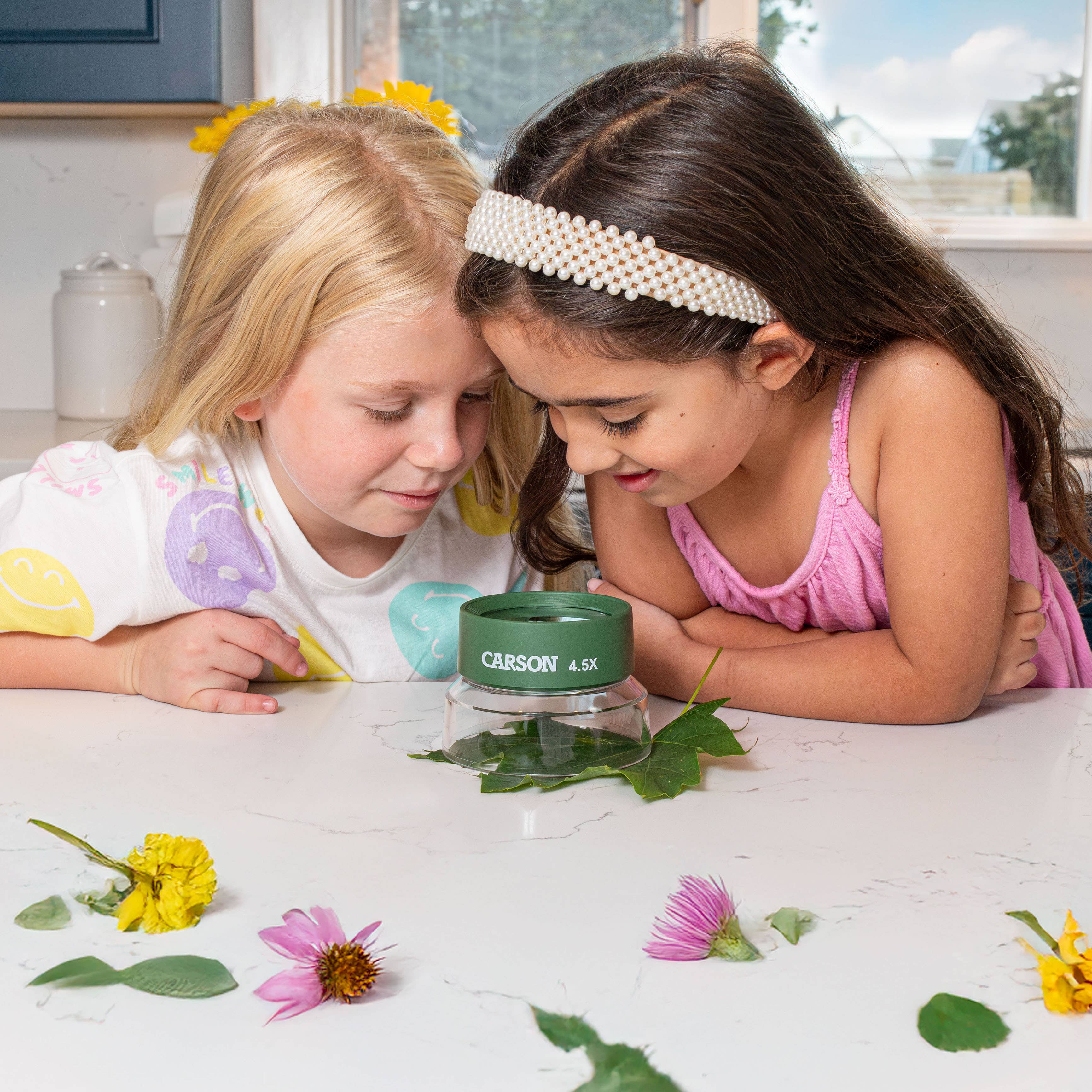 Carson - Wholesale Sporting Game - Kids & Baby - Pre-Focused Stand Magnifier Loupe for Kids, Insect Viewer2