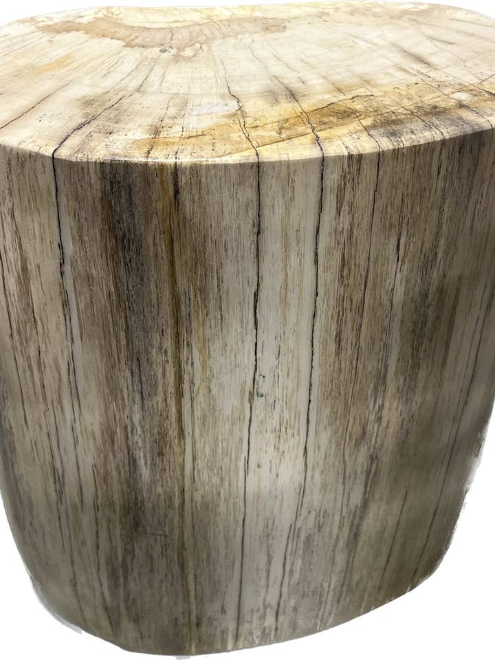 Ceppo per sgabello Kuno in legno pietrificato per la vendita all'ingrosso da parte di Asian Accents