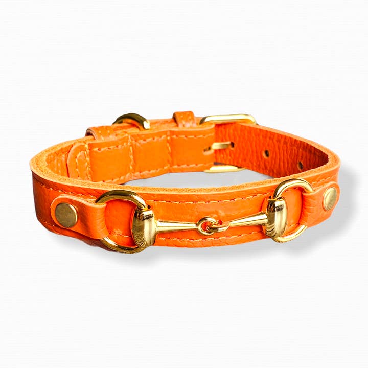 PupWiser - Wholesale Pet Collar - Dog - PRINCESS GRACE Handmade Leather Dog Collar (Orange)1