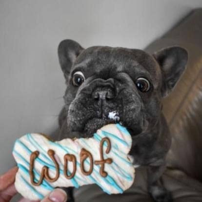 Osso Woof per la vendita all'ingrosso da parte di Ruby and Sophia's Dog Bakery