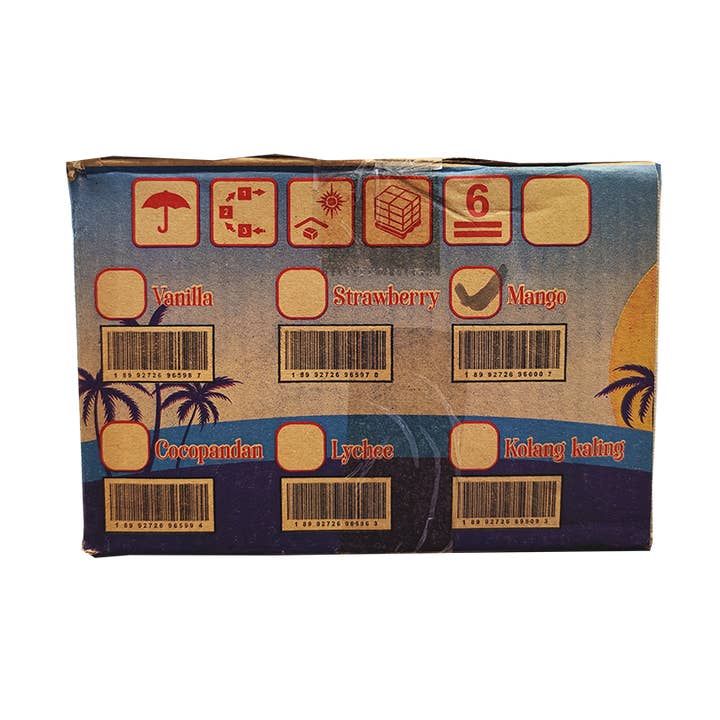 Takari International, Inc. - Wholesale Snack Pack - Kids & Baby - Inaco Nata De Coco- Mango Flavor, 24 Pouches/Case, 12.69oz(360g)5