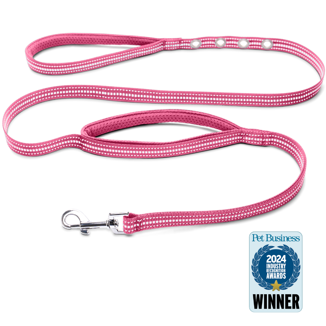 StitchLeash - Wholesale Pet Leash - Dog - StitchLeash® Bryce Clip & Go™ Flat Nylon Leash – Pink | 6 ft | 24 per case1